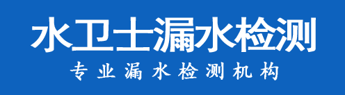 蒸湘区暗管漏水检测